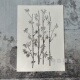 细竹叶 竹子植物镂印小清新镂空模板涂鸦绘画DIY街头喷漆拓印墙绘