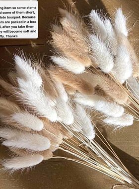 60Pcs Mix Lagurus Bunny Tails Pampas Grass Decor Home Cake D