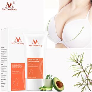 Cream Full Elasticity Herbal Bust Enlargement Big 50g Breast