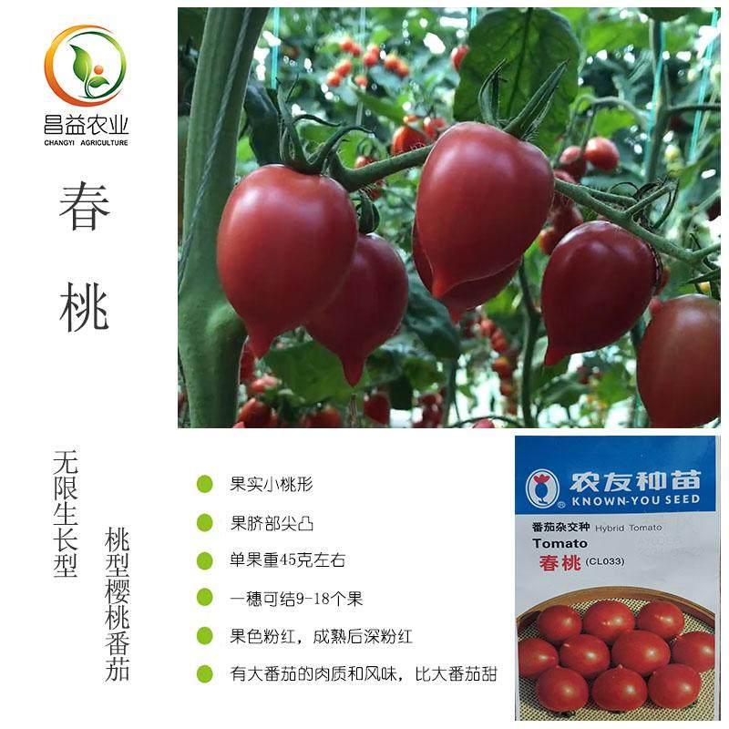 农友春桃樱桃番茄种子 特色粉红小桃形西红柿单果40克圣女果种籽