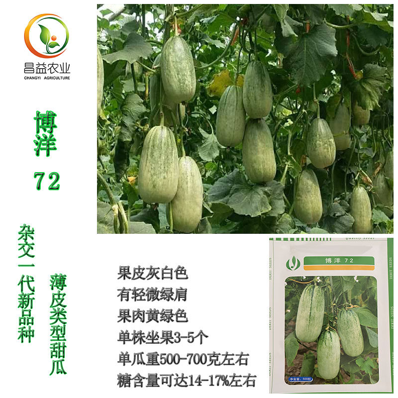 德瑞特博洋72羊角蜜甜瓜种籽孑薄皮甜脆羊角蜜香瓜种子四季春秋种