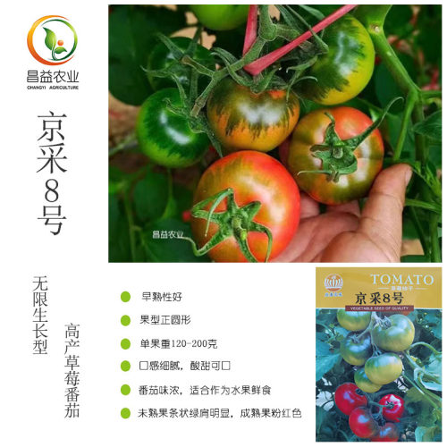 益番京采京采8号草莓番茄绿肩浓
