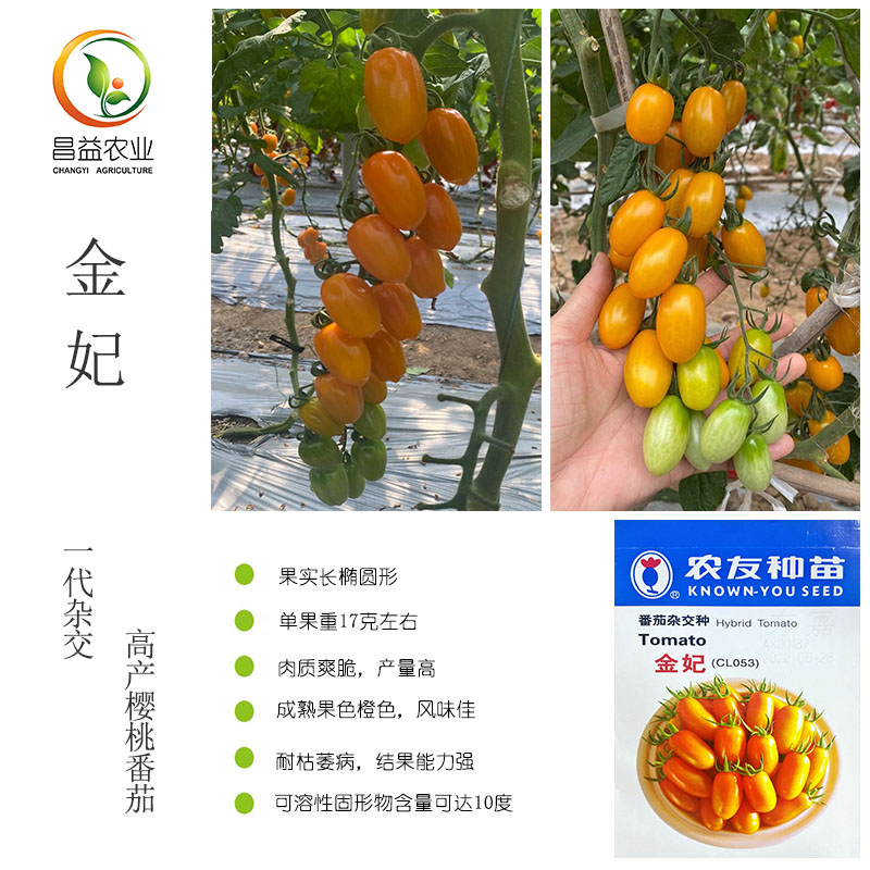 金妃小番茄台湾农友进口