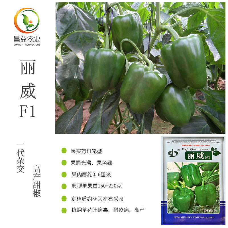 丽威F1甜椒种籽孑 青椒方椒灯笼椒五彩甜椒种子四季高产菜椒种子