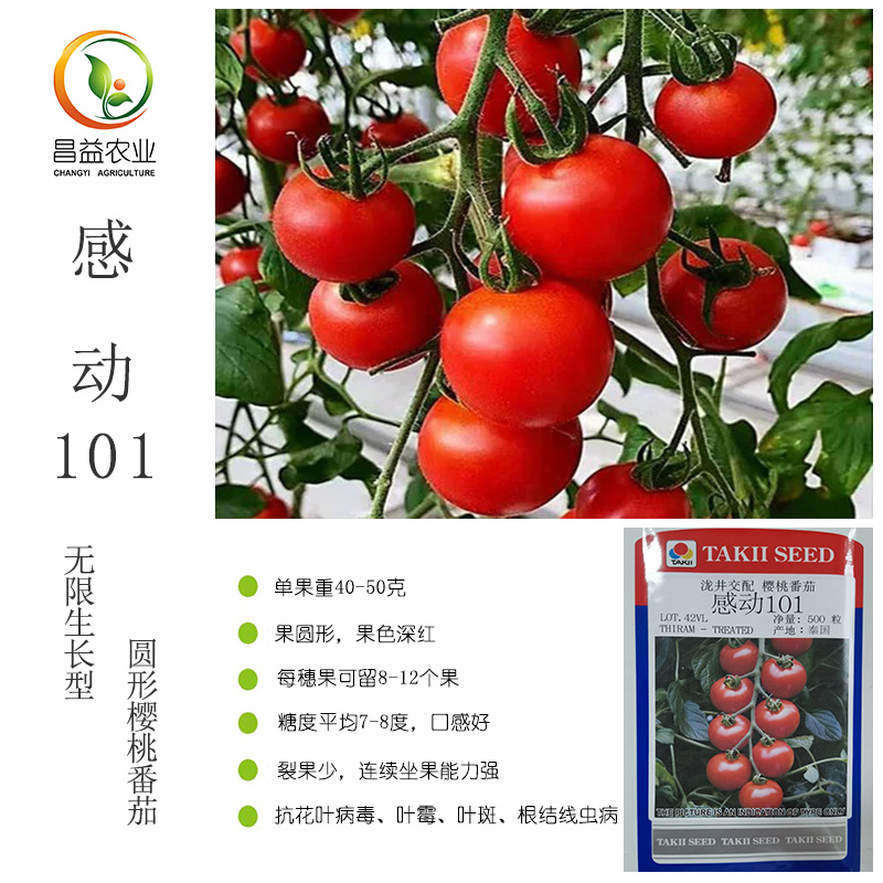 感动101圆形樱桃番茄种子