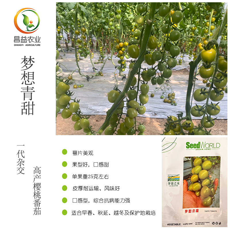 宏伟梦想青甜绿色小番茄种子