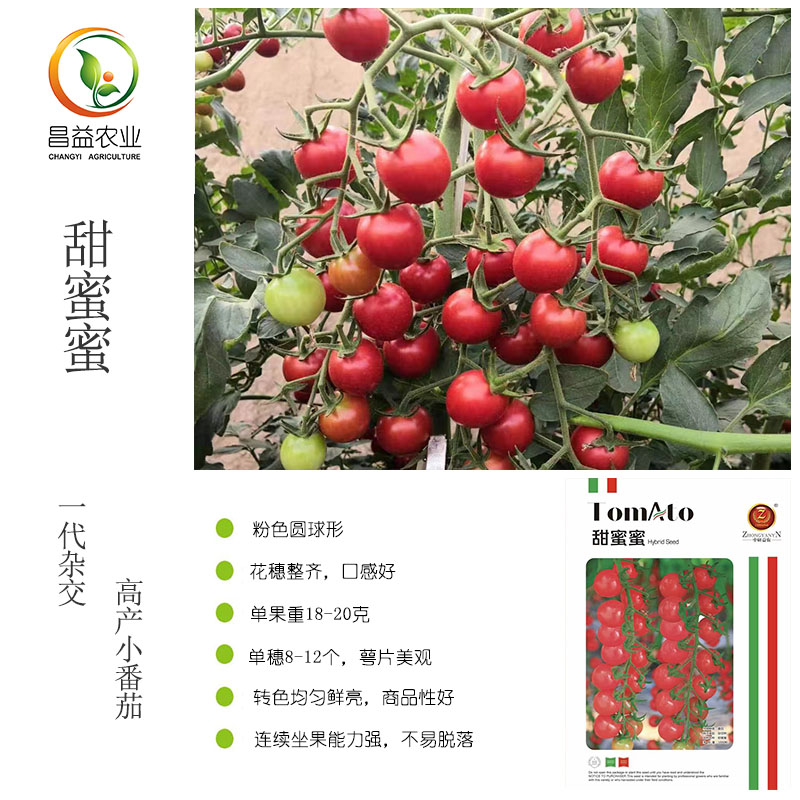 中研益农甜蜜蜜小番茄种子孑粉红色圆形薄皮玲珑小番茄圣女果种籽