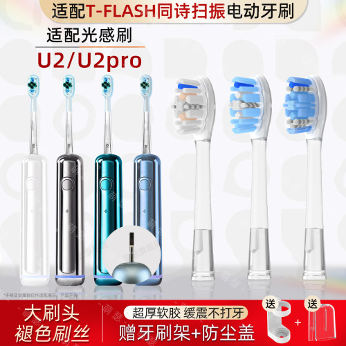 真空独立包装  精选进口刷丝 护龈洁齿
