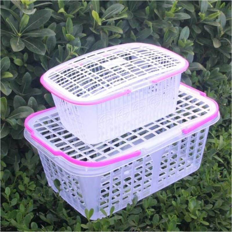 塑料水果篮子带盖草莓筐杨梅篮桑葚葡萄果园手提篮白色新料水果