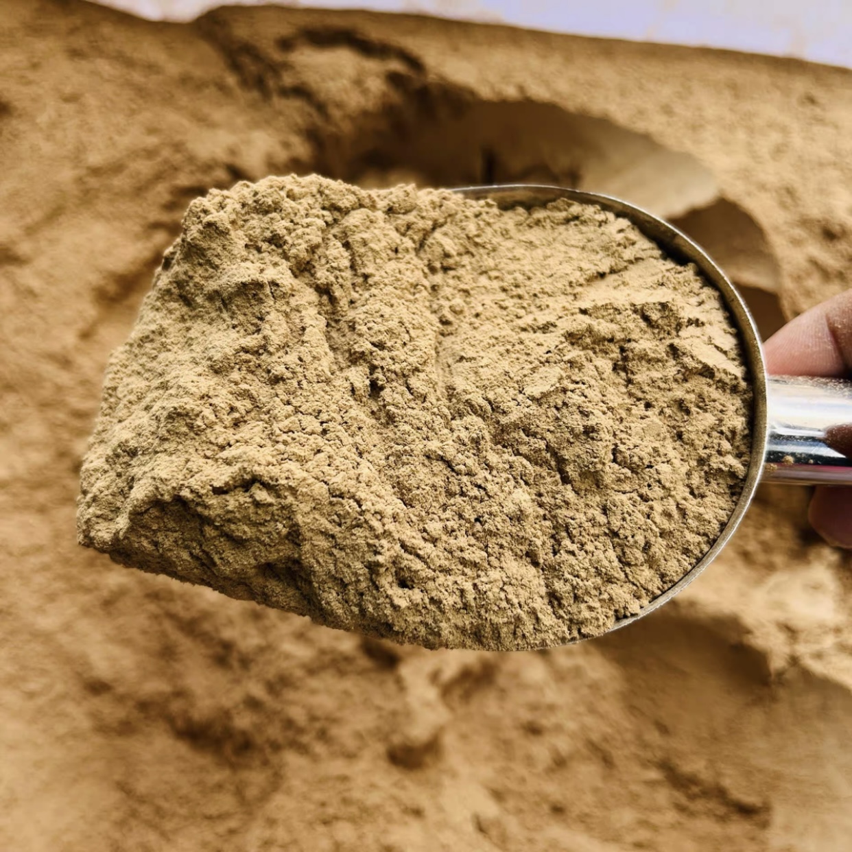 天然芽庄虫漏沉香粉越南香木料原材粉上炉熏香打篆手工香丸香道