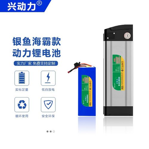 厂家兴动力电动车电池48v10ah三元21700电芯外卖车银鱼海霸锂电池