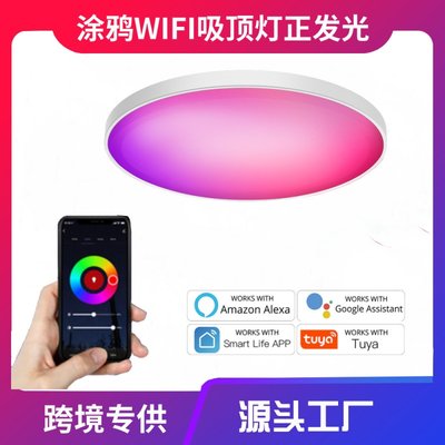 涂鸦WiFi蓝牙智能正发光吸顶灯RG