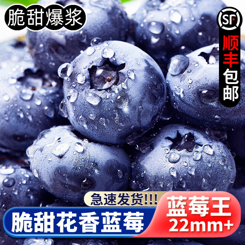 丹东花香蓝莓新鲜脆甜孕妇水果宝宝辅食蓝莓鲜果L25大果顺丰包邮