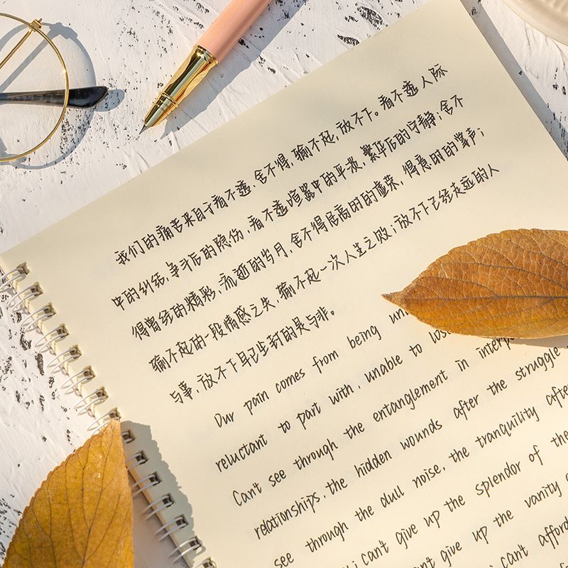 中英速写英语奶酪字帖楷