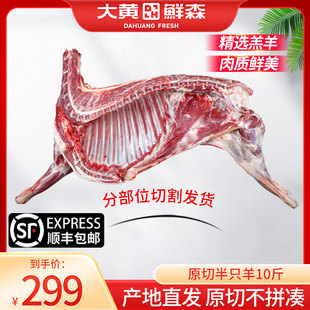大黄鲜森羊肉新鲜半只羊10斤羊后腿肉羔羊肋排手把肉羊蝎子礼盒
