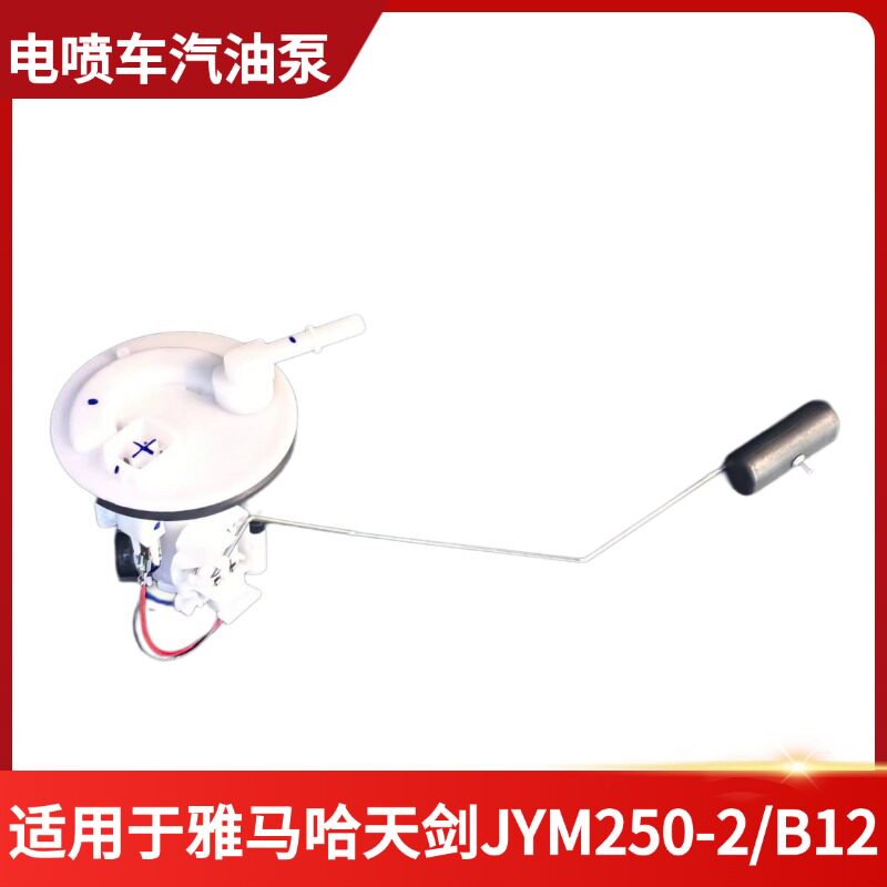 雅马哈天剑王JYM250-2/B12油箱