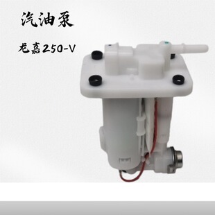 适用于龙嘉V途V霸V咖LJ250-V电喷摩托车汽油泵油箱燃油泵总成配件