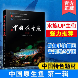 中国原生鱼 中国特色原生鱼种类介绍书籍 观赏鱼原生观赏鱼图鉴书淡水鱼类溪流冷水鱼书海洋生物知识图书籍 第一辑