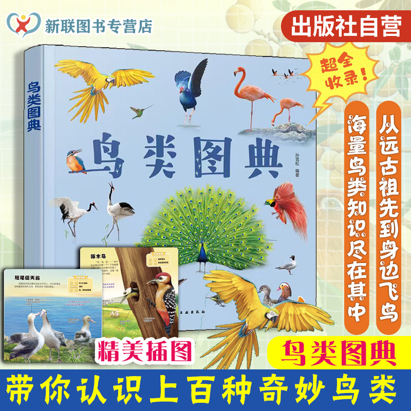 鸟类图典孙雪松儿童科普书