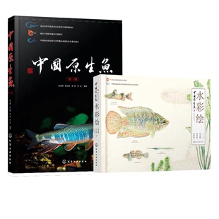 全2册 中国原生鱼水彩绘 中国原生鱼 中国小型淡水鱼饲养殖常识书精美原创水彩画常见原生鱼类中国原生鱼美艳鉴别鱼图书籍