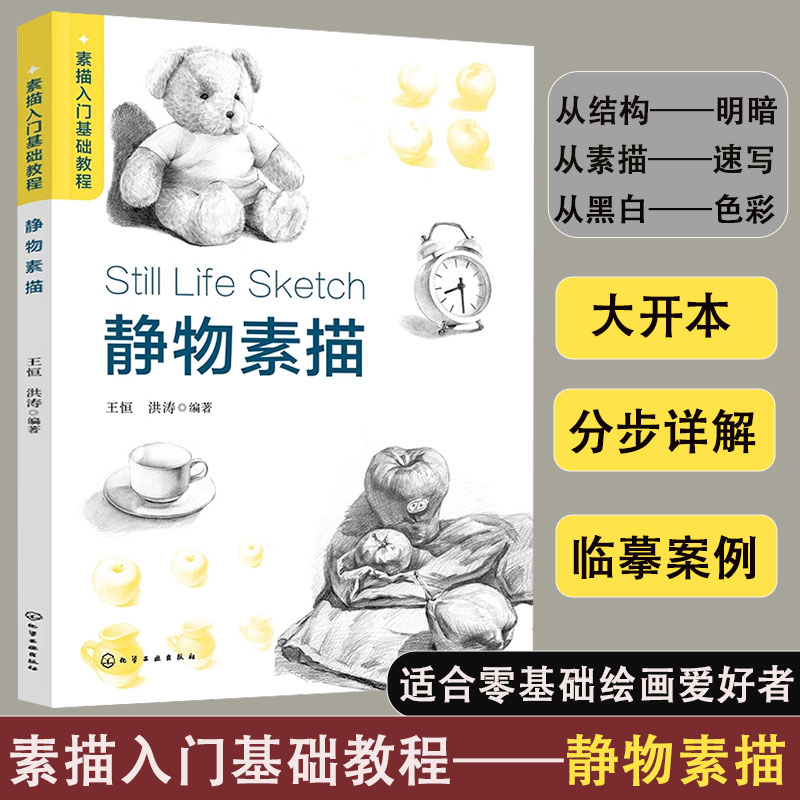 正版 素描入门基础教程 静物素描零基础绘画爱好者入门自学技法书 静物素描速写色彩写生入门参考书 艺术院校学生学习图书籍