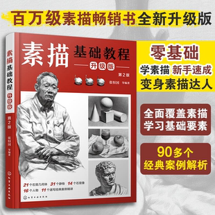 升级版 素描基础教程 张恒国 第2版 零基础学素描速成三大考试类别结构明暗素描动态速写分类基本原理工具美术培训畅销教材图书籍