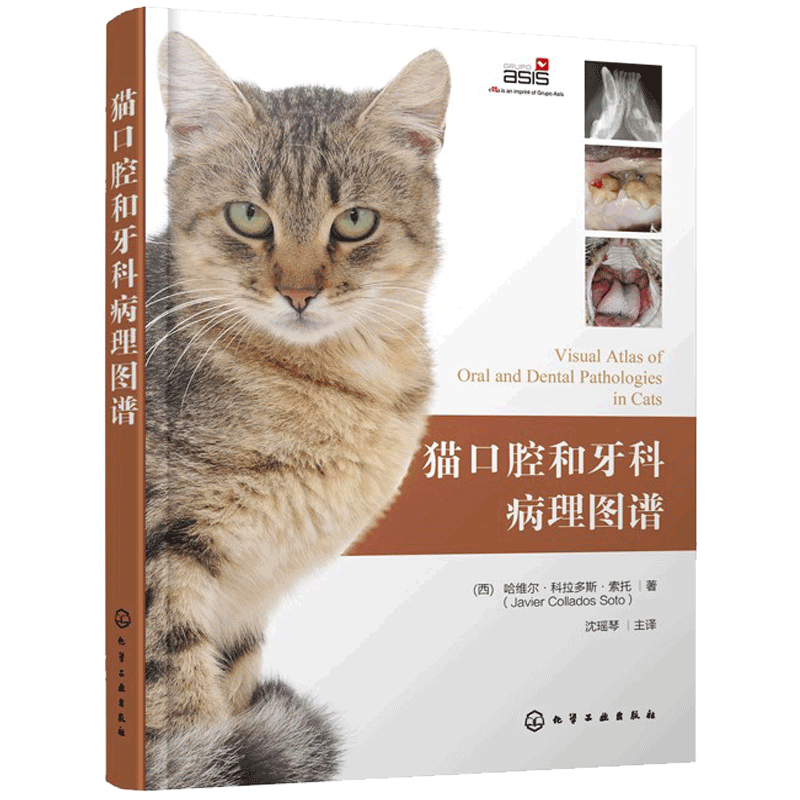 口腔牙科病理图谱治疗手册组织学