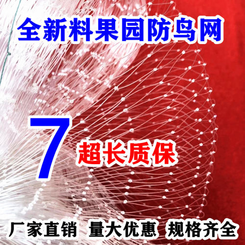 防鸟网草莓大棚果树樱桃葡萄果园防鸟用网尼龙棕丝网农业鱼塘天网