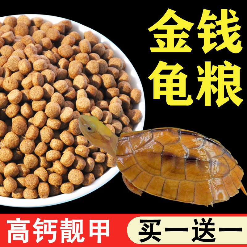金钱龟粮黄喉拟水龟黄缘安缘火焰
