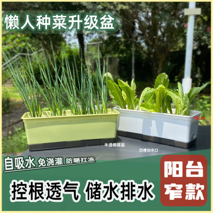 阳台菜盆家庭蔬菜专用种植箱懒人自吸水菜盆长方形草莓盆塑料花盆