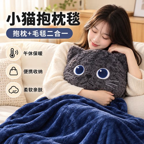可爱小猫法兰绒抱枕被四季通用