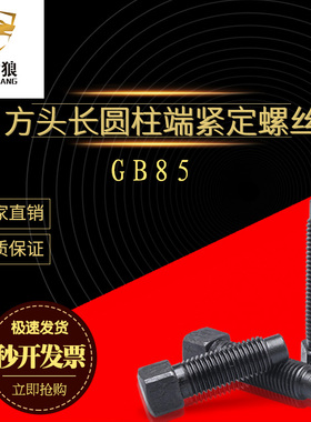 方头螺丝 四方 方头长圆柱端紧钉螺钉 支头螺丝定位螺丝m10m12m20