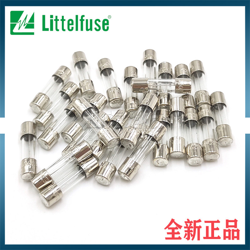 T100mA250V进口延时慢熔保险管