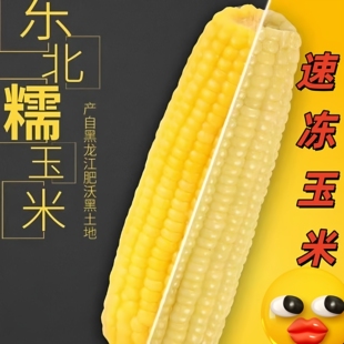 速冻黄/白【诚信古塔玉米】10只东北软糯香甜黏粘玉米棒