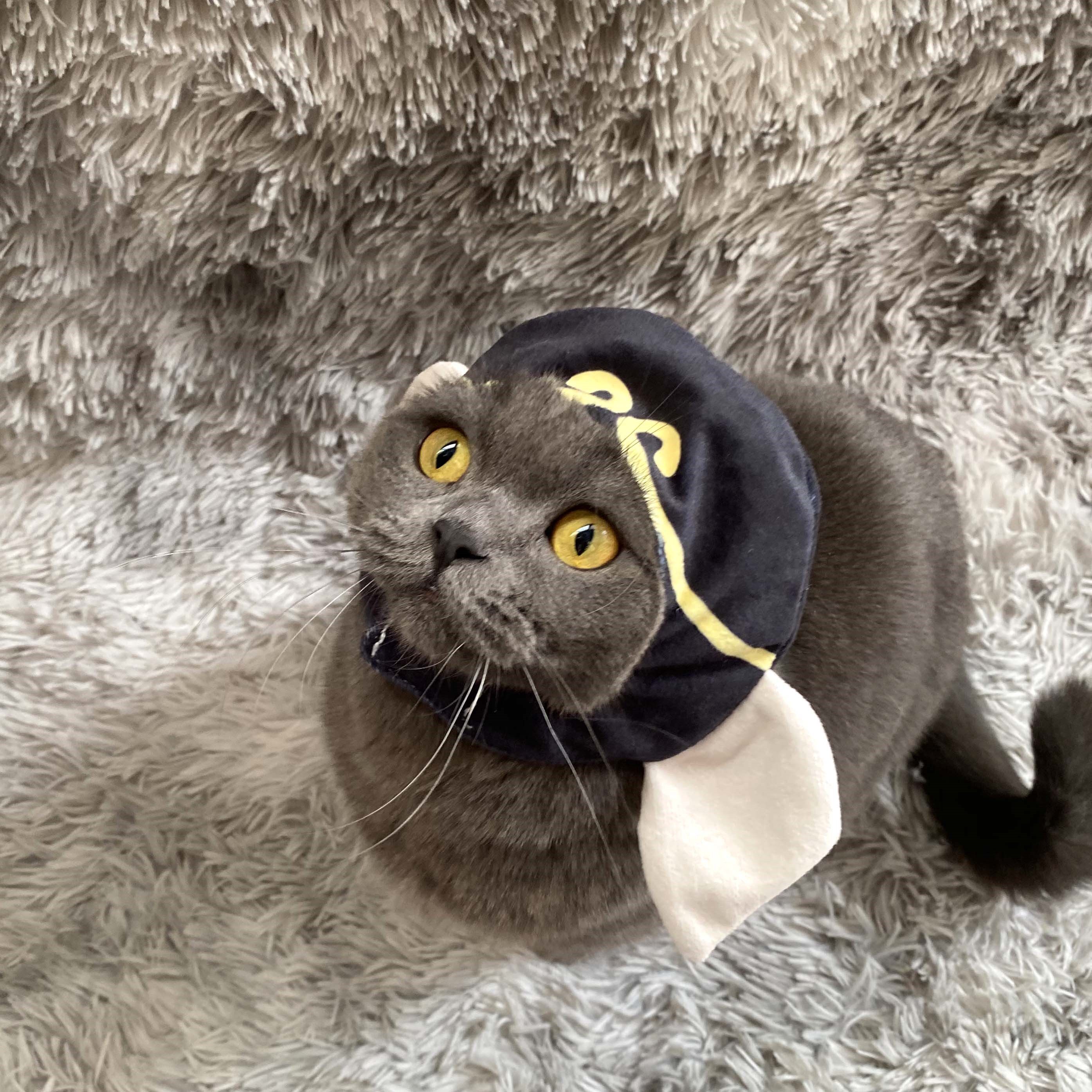 猫咪猪八戒帽子宠物头套用品英短搞笑头饰小型犬恶搞装扮拍照道具