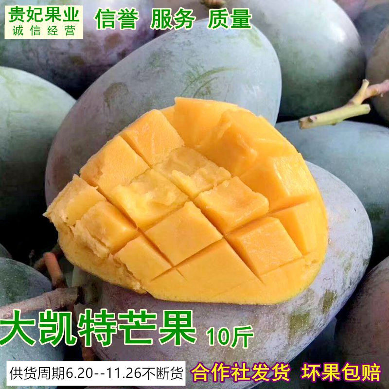 四川攀枝花凯特芒果现摘现发
