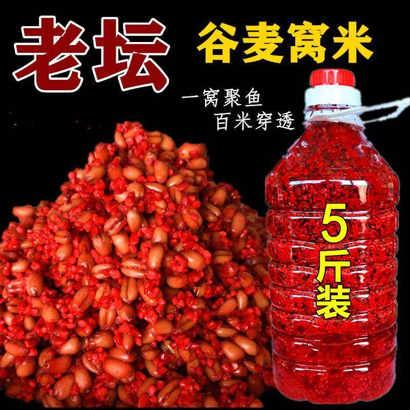 钓鱼酒米红虫打窝料野钓鱼食料诱鱼打窝米酒米鲫鱼鲤鱼通杀鱼饵料,户外/登山/野营/旅行用品,台钓饵,淘宝优惠券,粉丝福利购,淘宝优惠卷