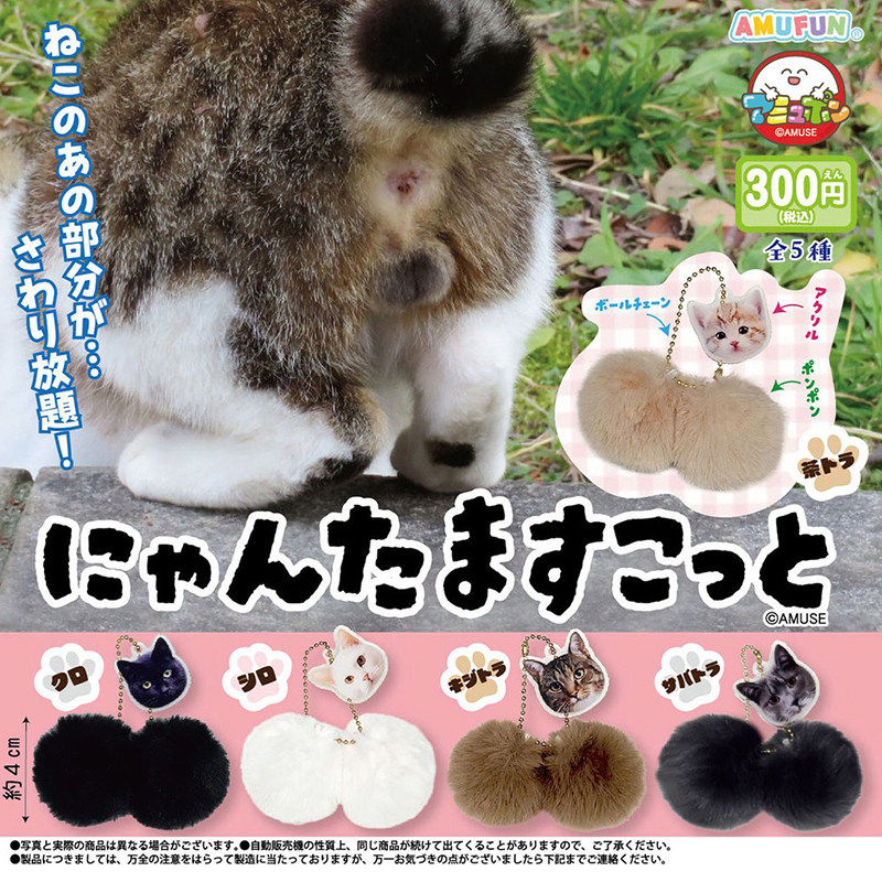 【星】预售猫咪蛋蛋摆件扭蛋图片