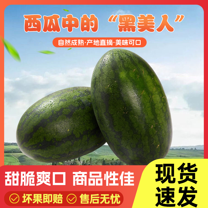 新鲜黑美人西瓜现摘产地直发黑籽红肉大西瓜黑皮包邮甜