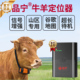 革泰品宁牛羊马定位器山区放牧专用gps北斗卫星防丢订位追踪神器j