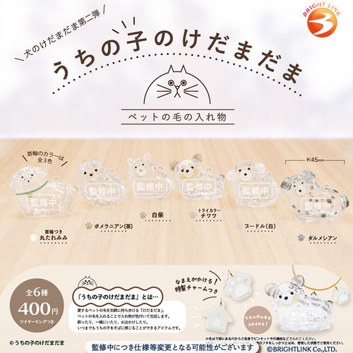 【晴谷】预订扭蛋BRIGHT