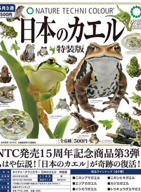 晴谷奇谭俱乐部NTC青蛙蟾蜍底