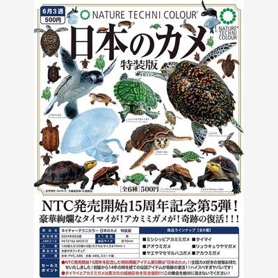 【咕唔咕屋】预售 奇谭 NTC立体 底座系列 乌龟海龟陆龟模型