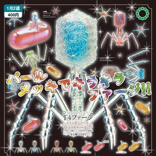 【谷子】预售  日本IKIMON T4噬菌体摆件和挂件生物大肠杆