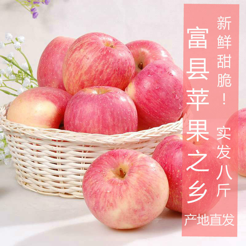 山东烟台新鲜脆甜奶油富士苹果水果5斤10斤黄金红富士包邮