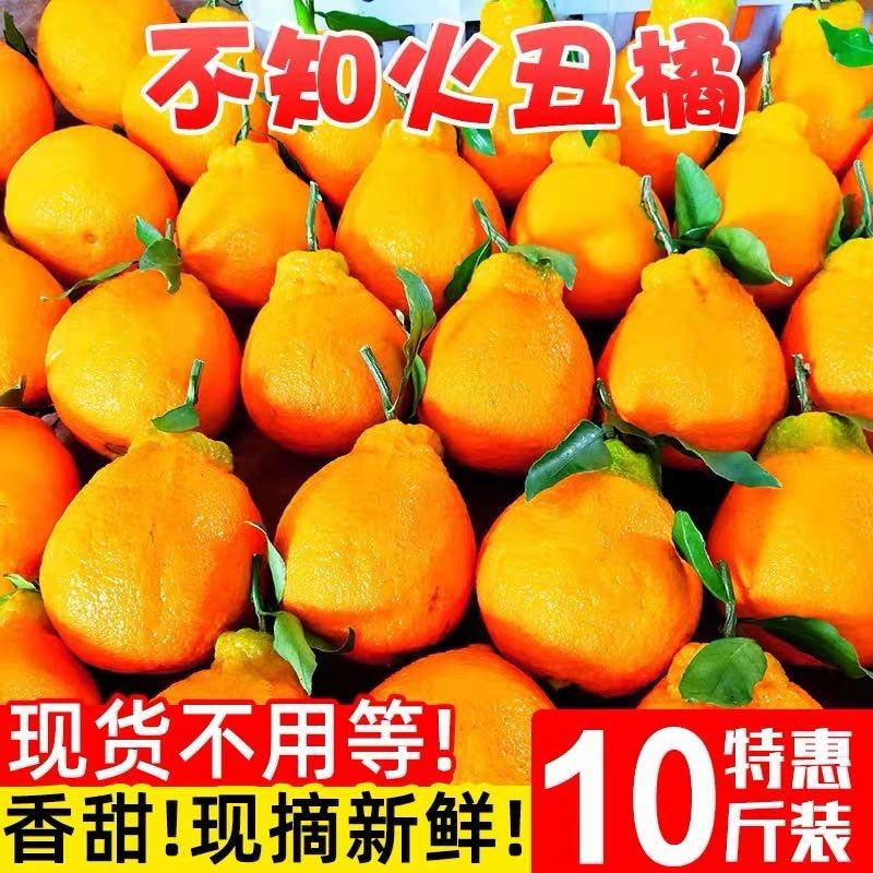 正宗不知火丑橘新鲜水果9斤当季甜丑八怪耙耙桔柑橘子整箱包邮,水产肉类/新鲜蔬果/熟食,桔子,淘宝优惠券,粉丝福利购,淘宝优惠卷