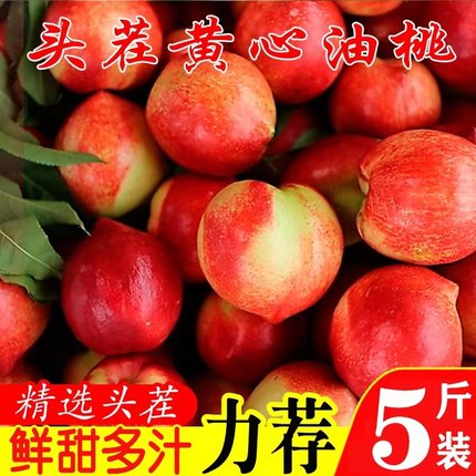 现摘现发黄心甜油桃5斤黄肉脆桃当季新鲜水果孕妇蜜桃整箱包邮