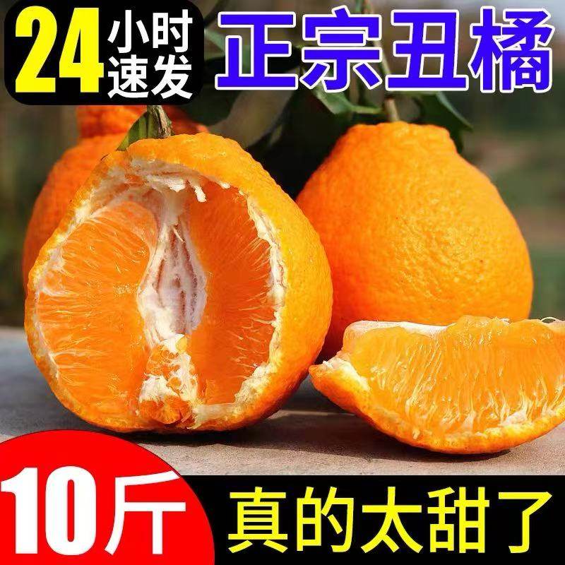 四川不知火丑橘水果新鲜整箱9斤包邮斤当季桔子耙耙粑粑丑柑橘子,水产肉类/新鲜蔬果/熟食,桔子,淘宝优惠券,粉丝福利购,淘宝优惠卷