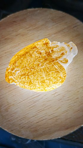 江津玉白冰原皮桂花纹俏色龙龟（可当把件挂件）48.2克