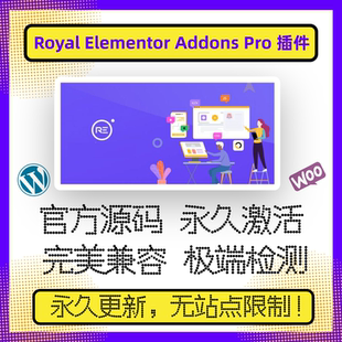 Royal Elementor Addons Pro 插件 Elementor扩展 Elementort组件